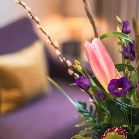 Braid By Mansley Apart Otel Edinburgh