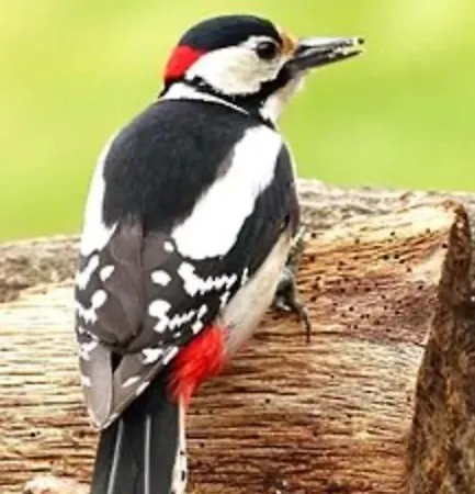 Craigs Lodges * Edinburgh