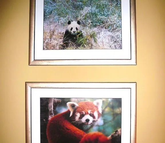 Panda Nocleg ze śniadaniem 4*