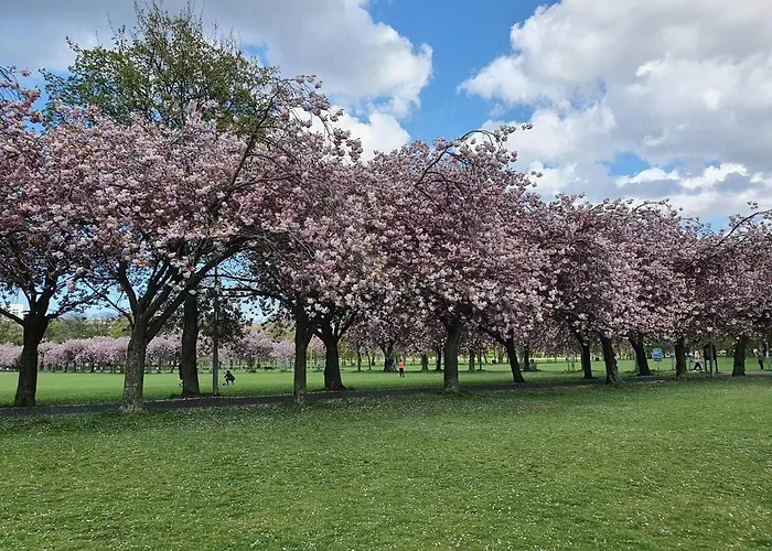 Lovely 2 Bedroom Flat In The Heart Of The Apartment Edinburgh