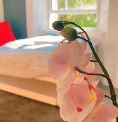 Apartment Leven Edinburgh