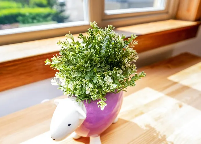 بيت للعطل Cozy With Character Cheerful With Garden At Leith Links Park *