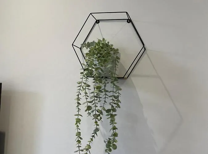 Apartment Stylish & Comfortable Ground Floor House - Main Door Private Entrance - Free Parking & Garden