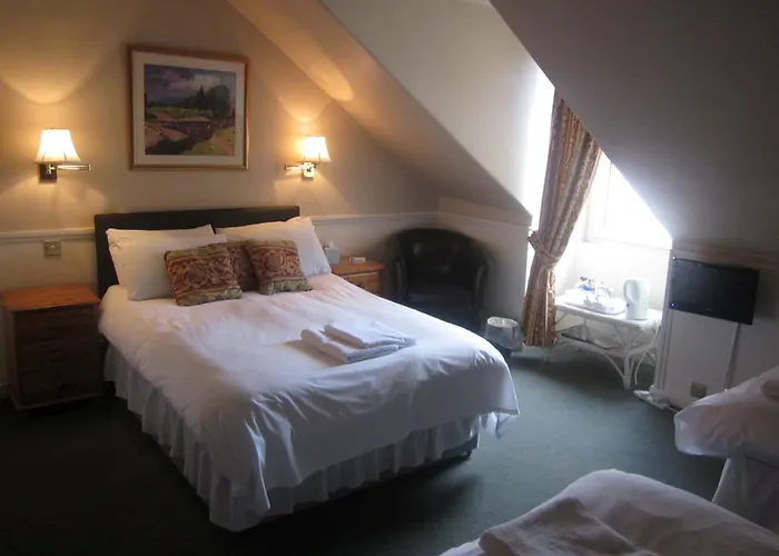 Гостевой дом Elder York