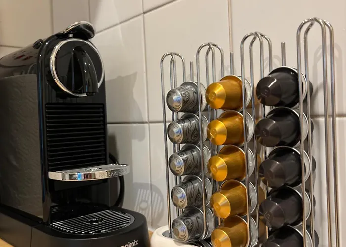 Cosy Georgian Flat Edinburgh