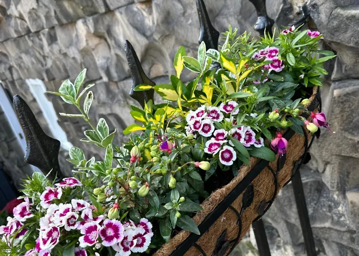 Cosy Georgian Flat Apartment Edinburgh