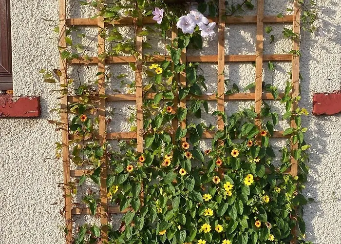 Séjour chez l'habitant Frans Place Édimbourg