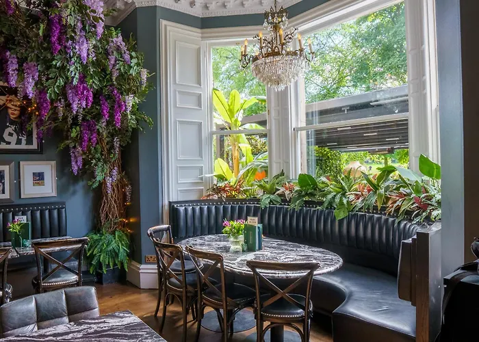 Hotel Black Ivy