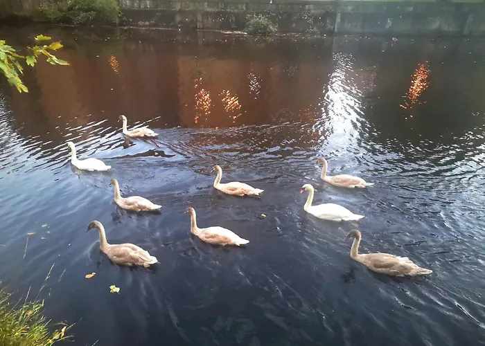 Apartment On The Shore Edinburgh