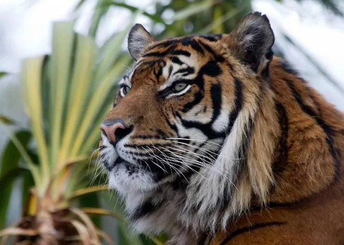 Beautiful Attractive House Free Parking Near Airport Edinburgh