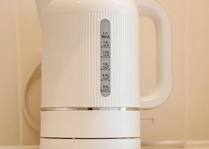 Bright & Elegant Portobello *