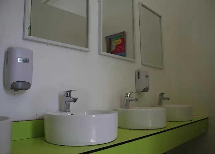 旅馆 Safestay Cowgate