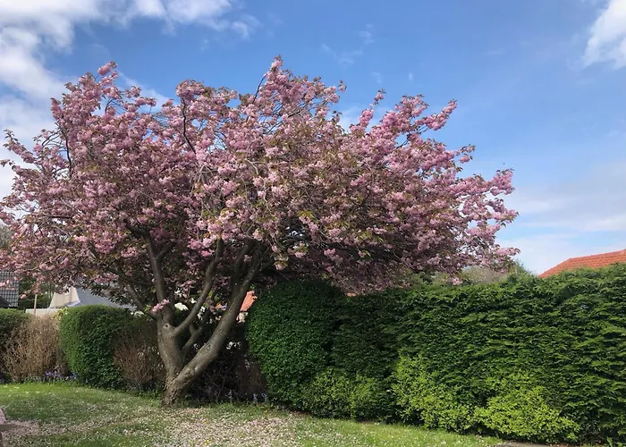 Stag's View בית נופש *