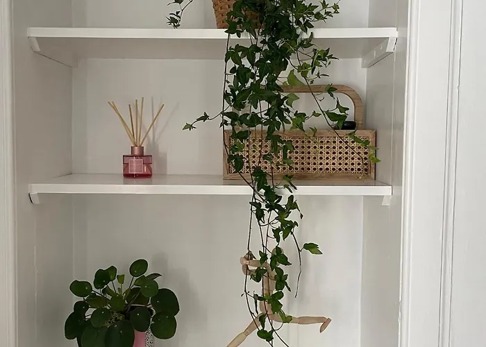 Quiet Garden View 2br Center Near Fringe Apartment Edinburgh