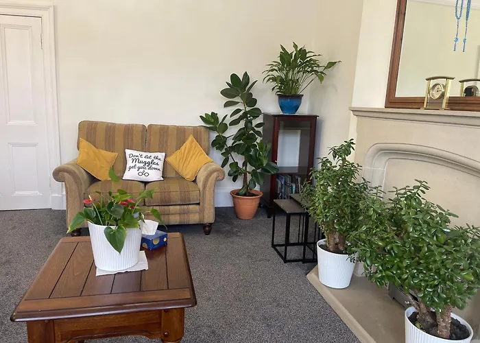 Entire Victorian House 2br - 4 Guests דירה