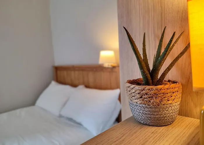 Lovely Festival Flat *