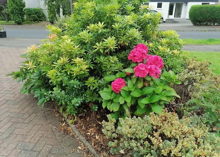 King Size Bed Direct Bus To Center Silver Semesterbostad Edinburg