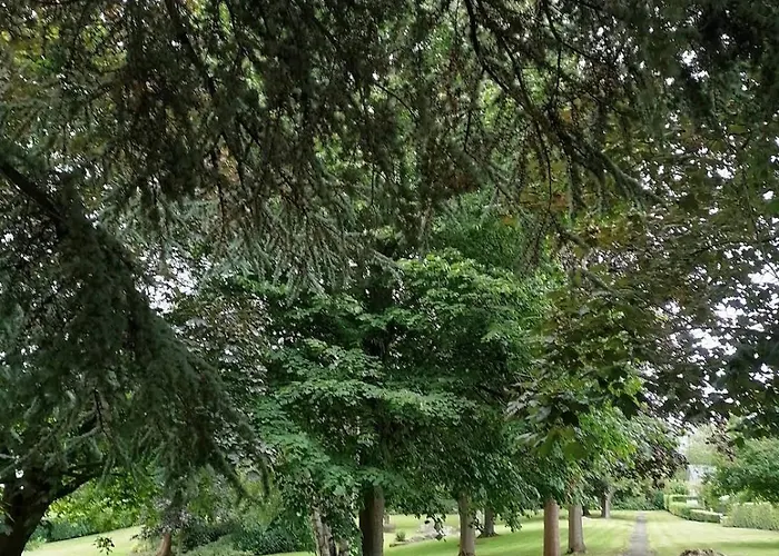 度假居 King Size Bed Direct Bus To Center Silver 爱丁堡