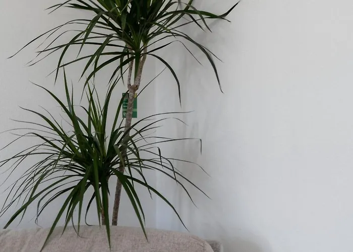 Bright 2 Bedroom Flat On Leith Walk * エディンバラ