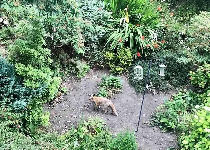 Tranquil 2 Bed Flat, Free Parking, Near Murrayfield & Centre Appartamento Edimburgo