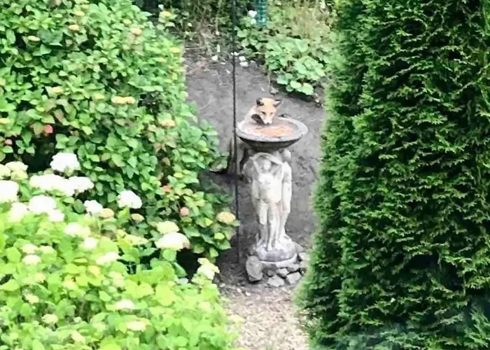 Tranquil 2 Bed Flat, Free Parking, Near Murrayfield & Centre Appartamento