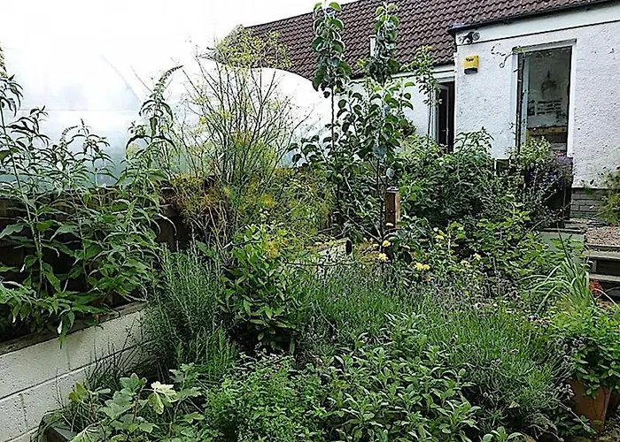 Couette-café Cosy For Share , Private Double Room, Wifi, Parking, Garden Édimbourg