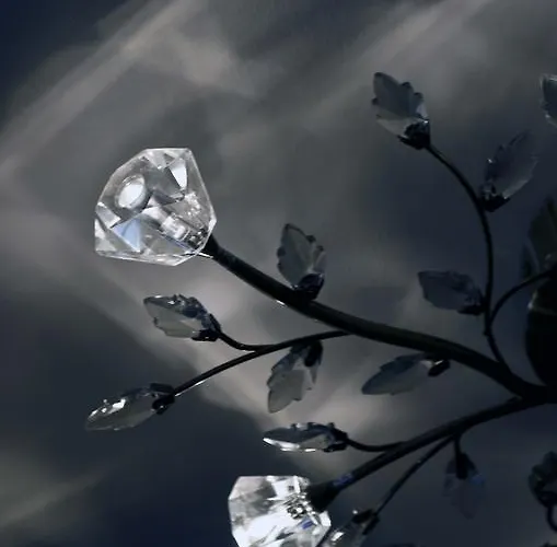 Hotel The Parliament House