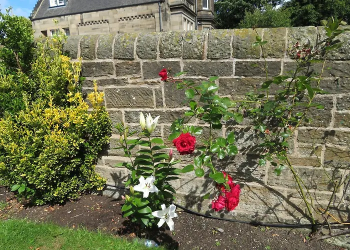 Duthus Penzion Edinburgh