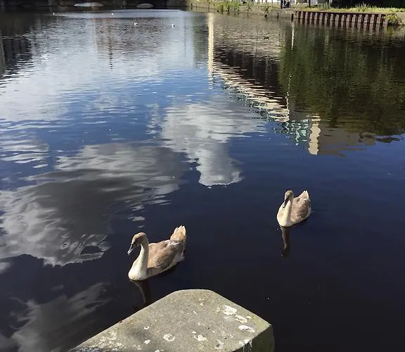فندق مبيت وإفطار Hermitage