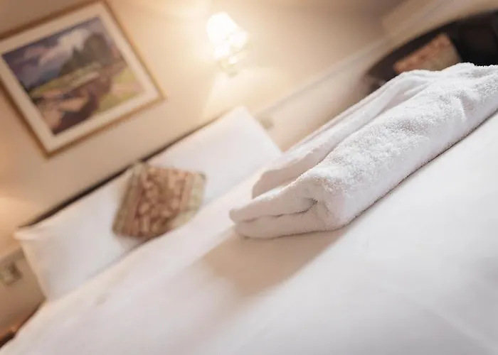 Elder York Гостевой дом 3*