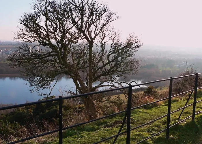 Nocleg ze śniadaniem Panda Edynburg