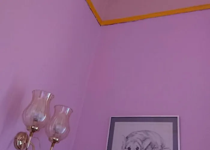 Bed & Breakfast Swan Lake 3*