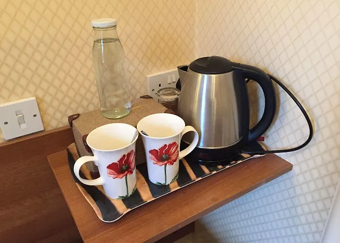 Allison House 16 招待所 爱丁堡