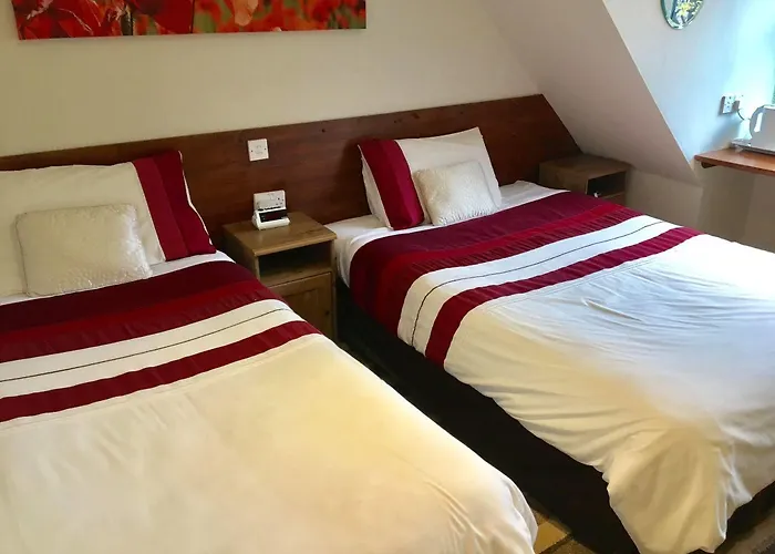 招待所 Allison House 16