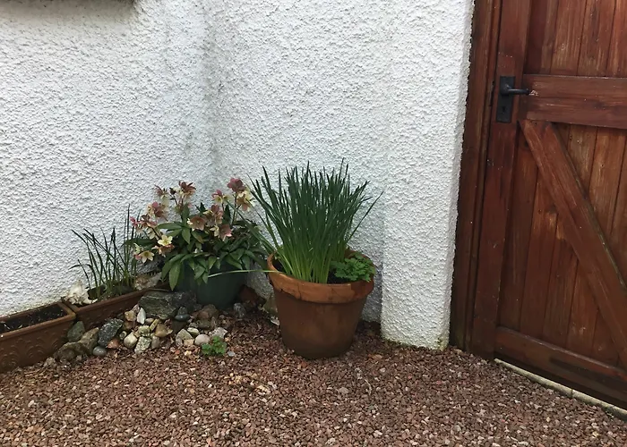 Bed & Breakfast Ingleneuk Edinburg