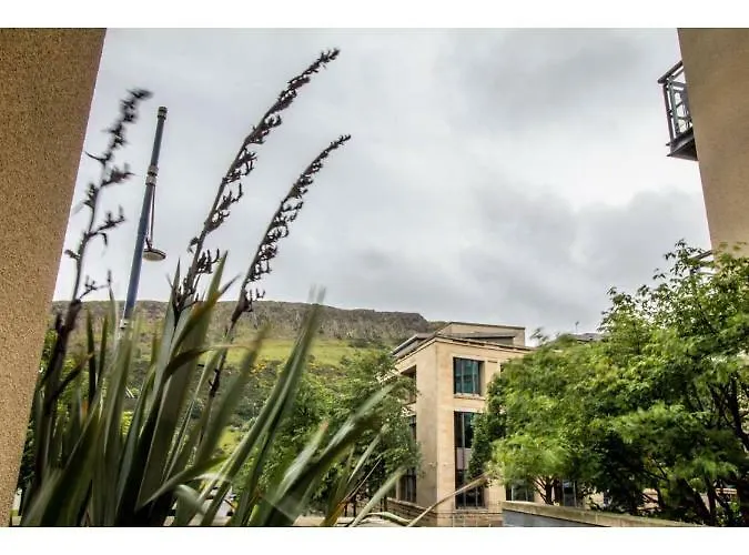 And Stylish One Bedroom