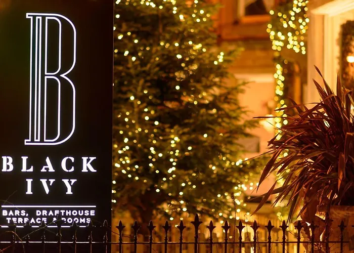 Black Ivy Hotell 4*