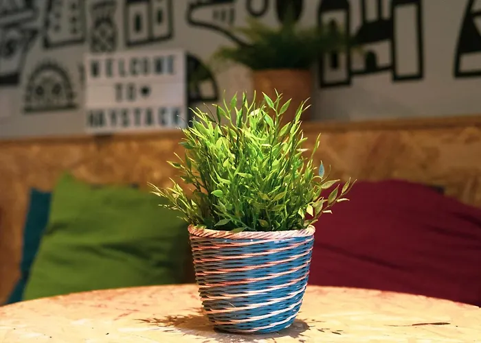 Haystack Vandrarhem *