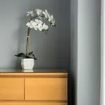 Castle Apt, Modern,