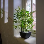 Apartment Historic Ramsay Garden Apt With Balcony Views - Pass The Keys