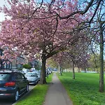 Mackenzie Gæstehus Edinburgh