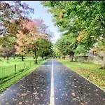 By The Meadows, Close To Centre * 爱丁堡