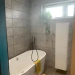 House Aurora *
