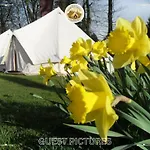 Festival Glamping By Social *