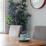 Апартаменты Modern Grassmarket *