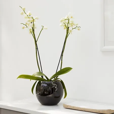 94dr بيت للعطل