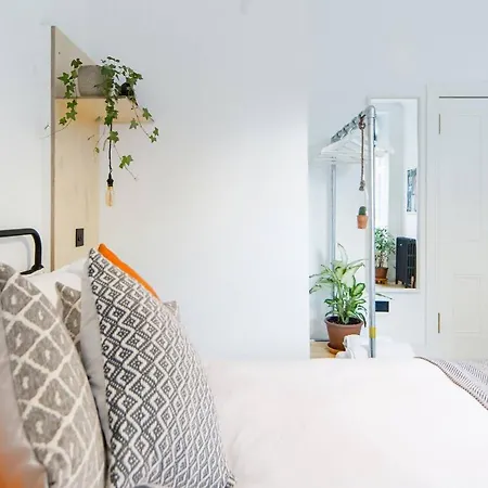 The Plywood Flat, Modern Style In A Traditional Tenement *