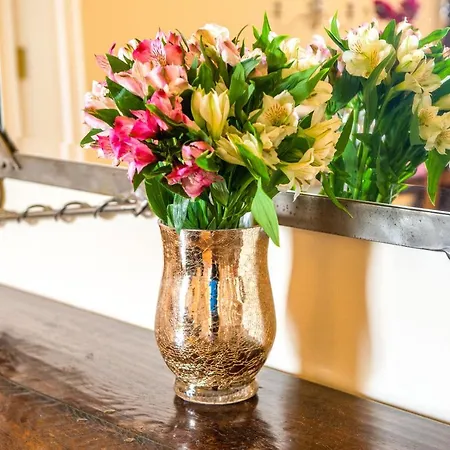 Famous House, 1 Minute From Castle Edinburg