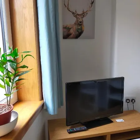 דירה Lovely 2 Bedroom With A Garden Close To The Centre אדינבורו