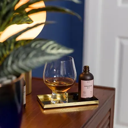 Joivy Contemporary With Free Parking *